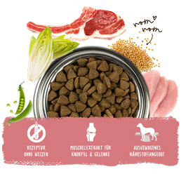 Bosch - Adult Lachs & Kartoffel - 1 x 15 kg - 5