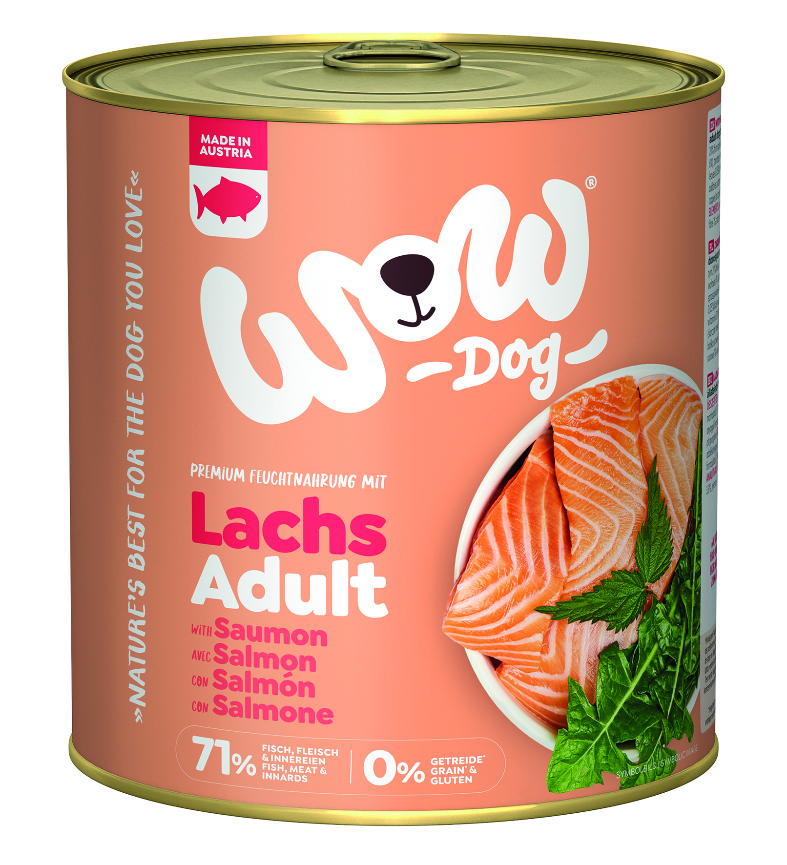Adult Lachs