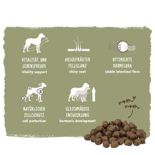 Bosch - Mini Adult Geflügel & Hirse - 1 x 1000 g - 11