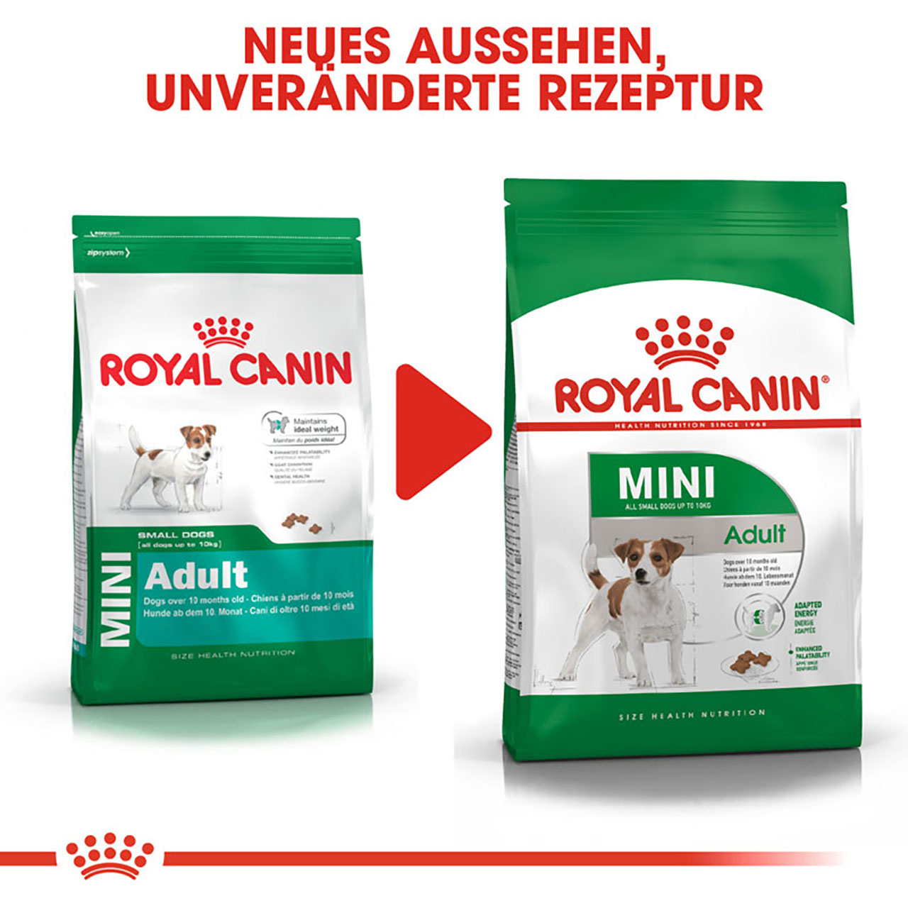 Royal Canin - SHN Mini Adult - 1 x 8kg - 6