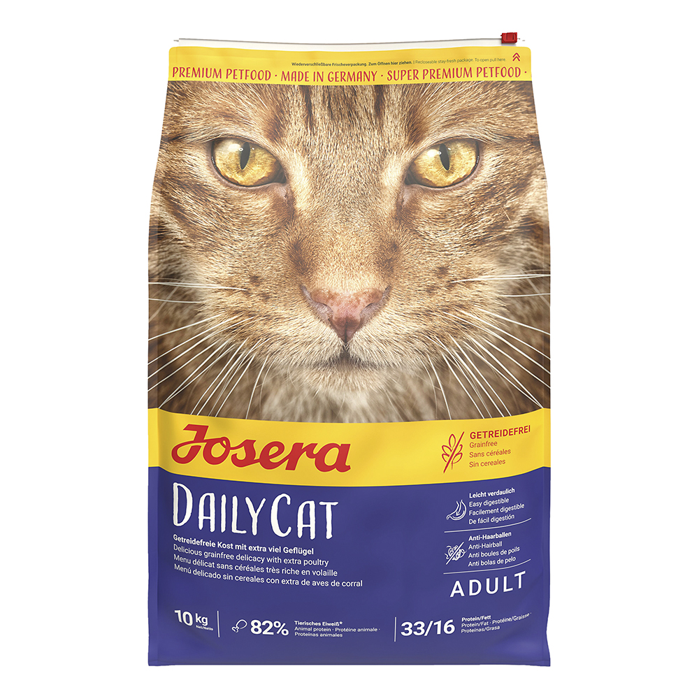 Daily Cat