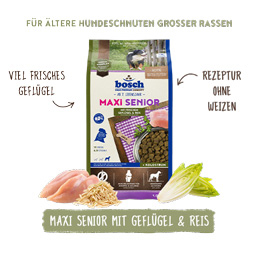 Bosch - Maxi Senior Geflügel & Reis - 5 x 1 kg - 8