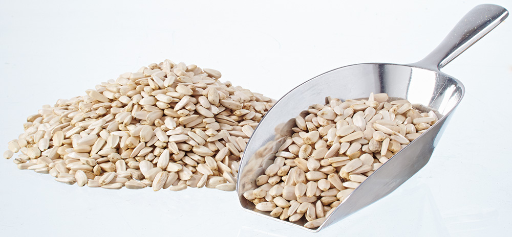 Sonnenblumenkerne weiß 25kg