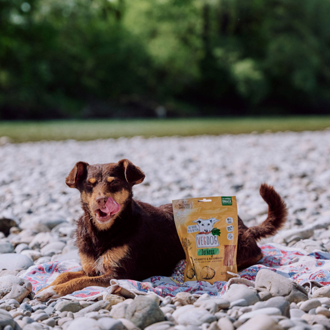 Vegdog - Jerkeys mit Karotte & Buchenrauch - 9 x 80g - 5