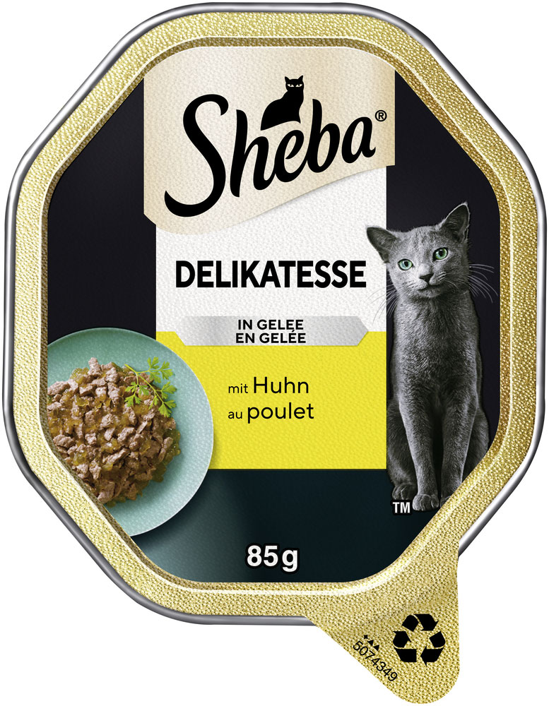 Delikatesse Gelee Huhn-Geschnetzeltes