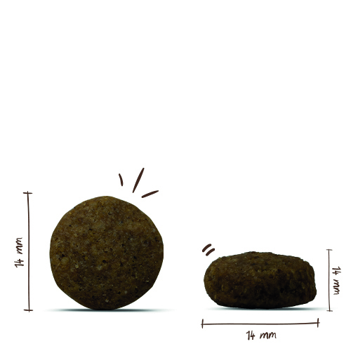 Bosch - Junior Lamm & Reis - 5 x 1 kg - 11