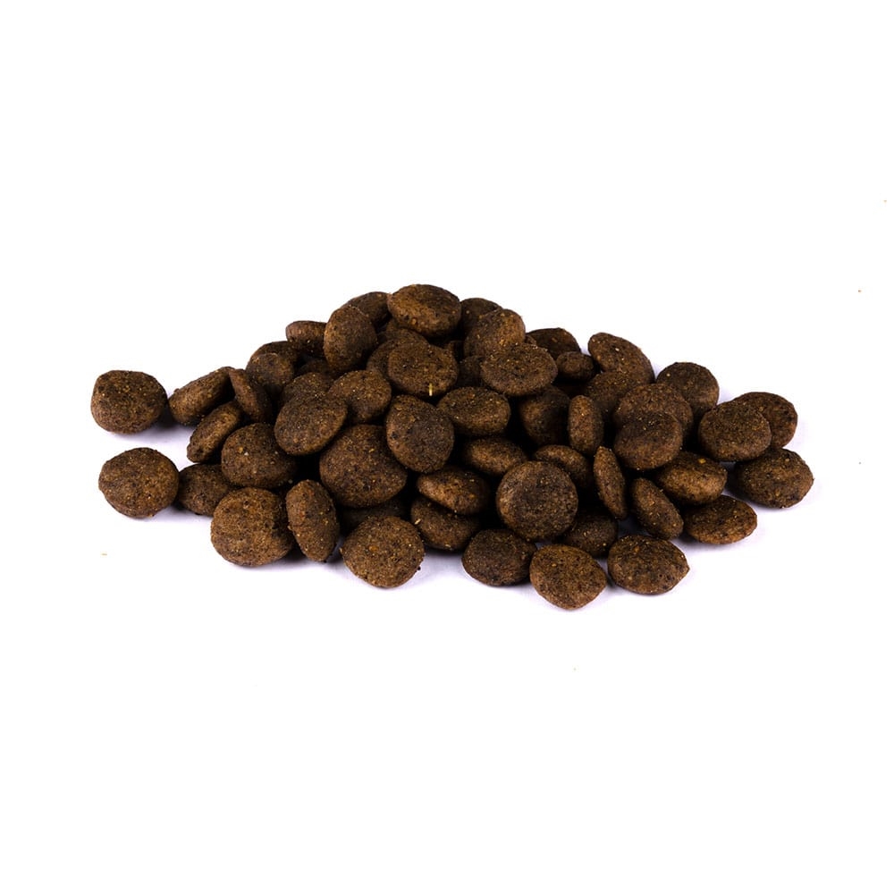 Allco Christopherus - Getreidefrei mit Forelle & Insekt - 1 x 4kg - 2