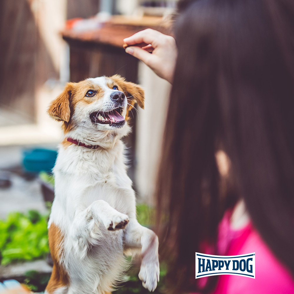 Happy Dog - Soft Snack Mini Africa - 1 x 100 g - 2