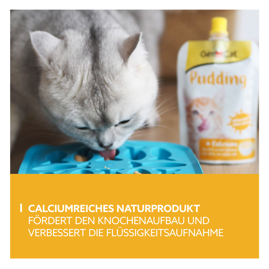GimCat - Pudding Classic - 4
