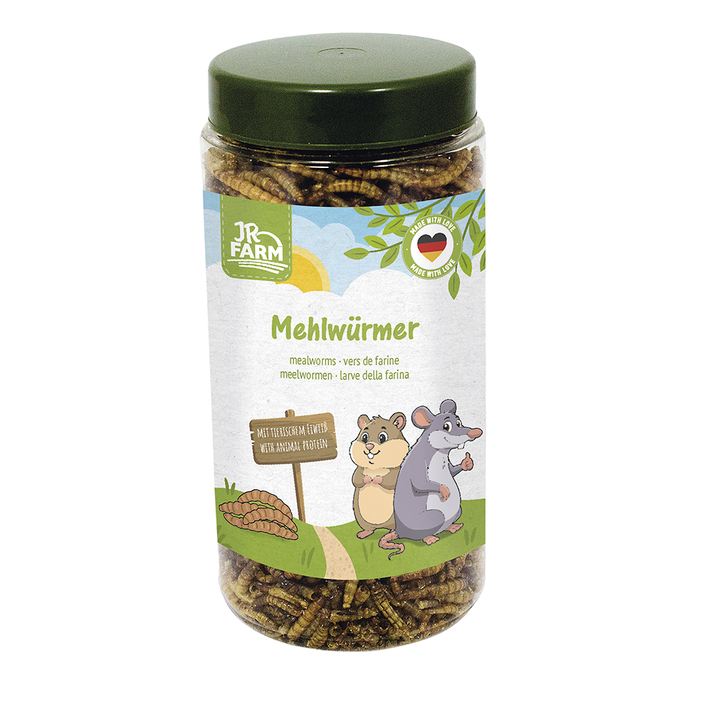 Mehlwürmer