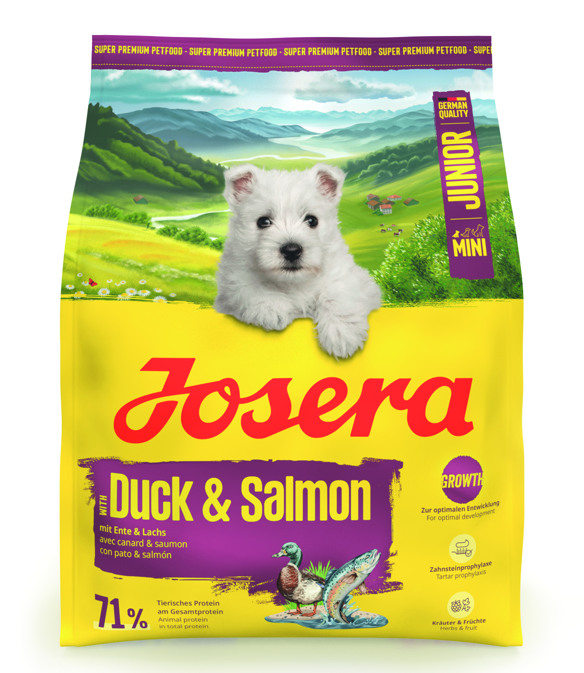 Mini Junior Duck & Salmon