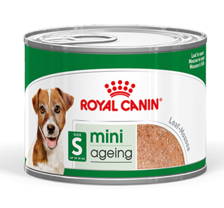 SHN Mini Ageing LoafCan