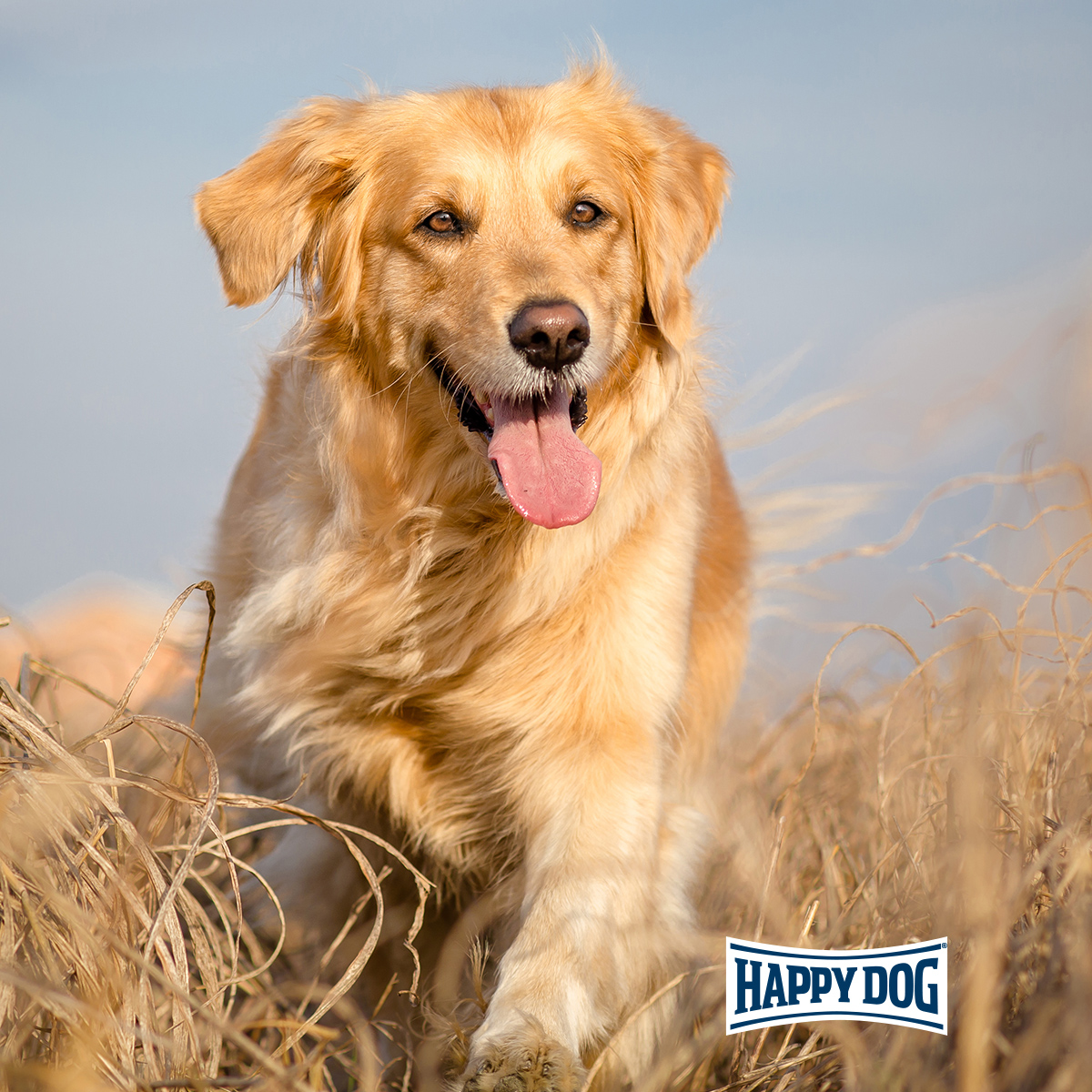 Happy Dog - Natur-Croq Rind & Reis - 5