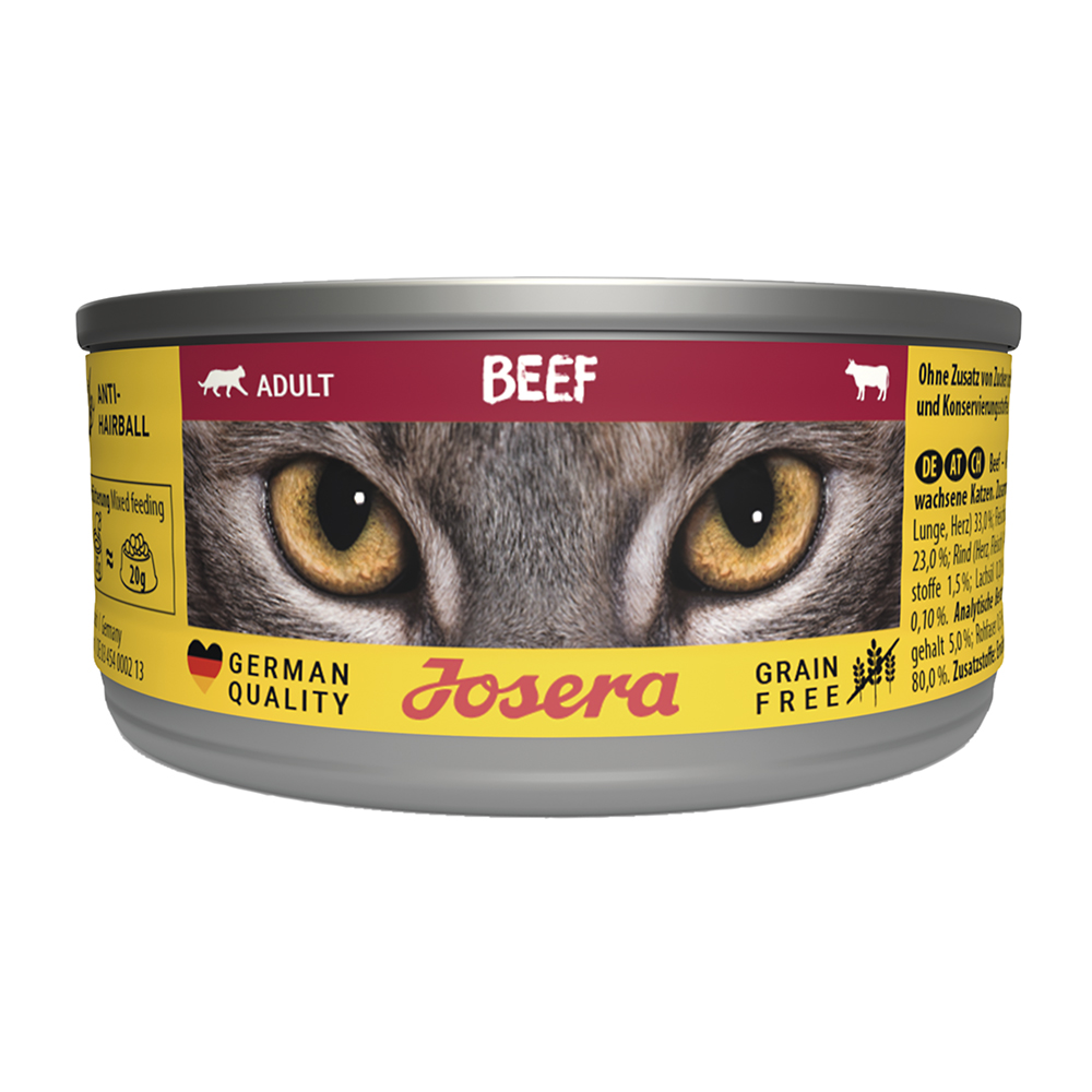 Cat Beef