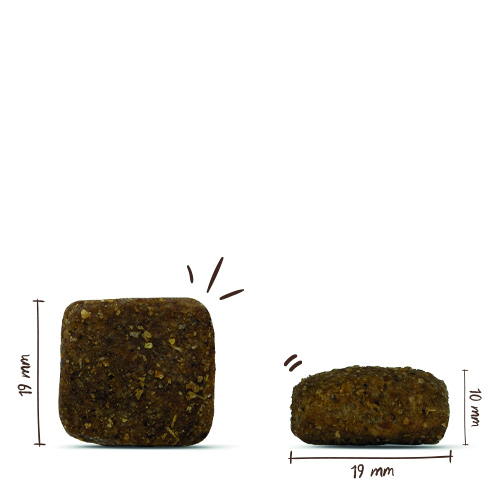 Bosch - Adult Maxi - 1 x 3 kg - 8