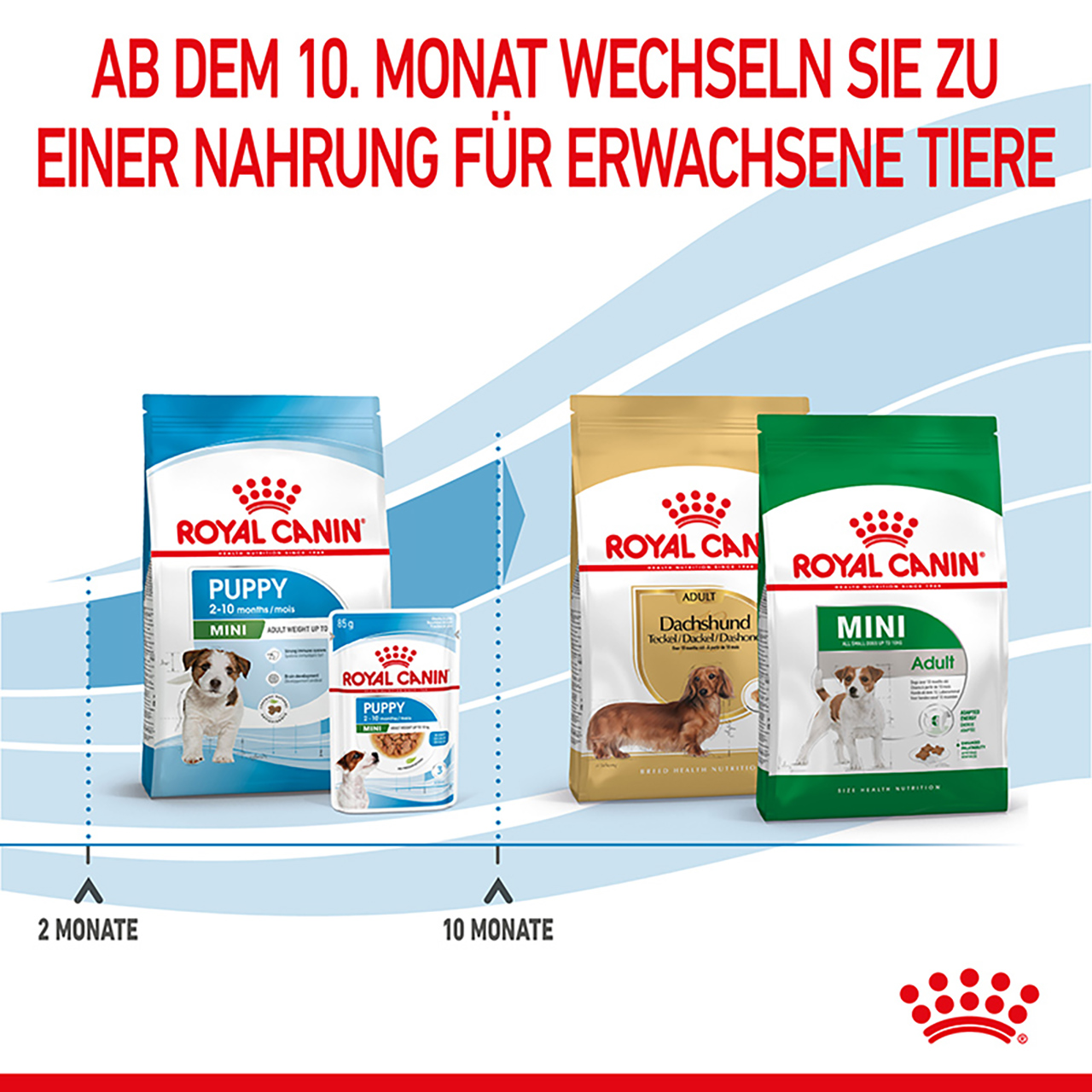 Royal Canin - SHN Mini Puppy - 8