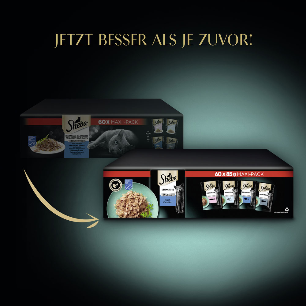 Sheba - Multipack Fisch in Gelee - 1 x 60X85g - 4
