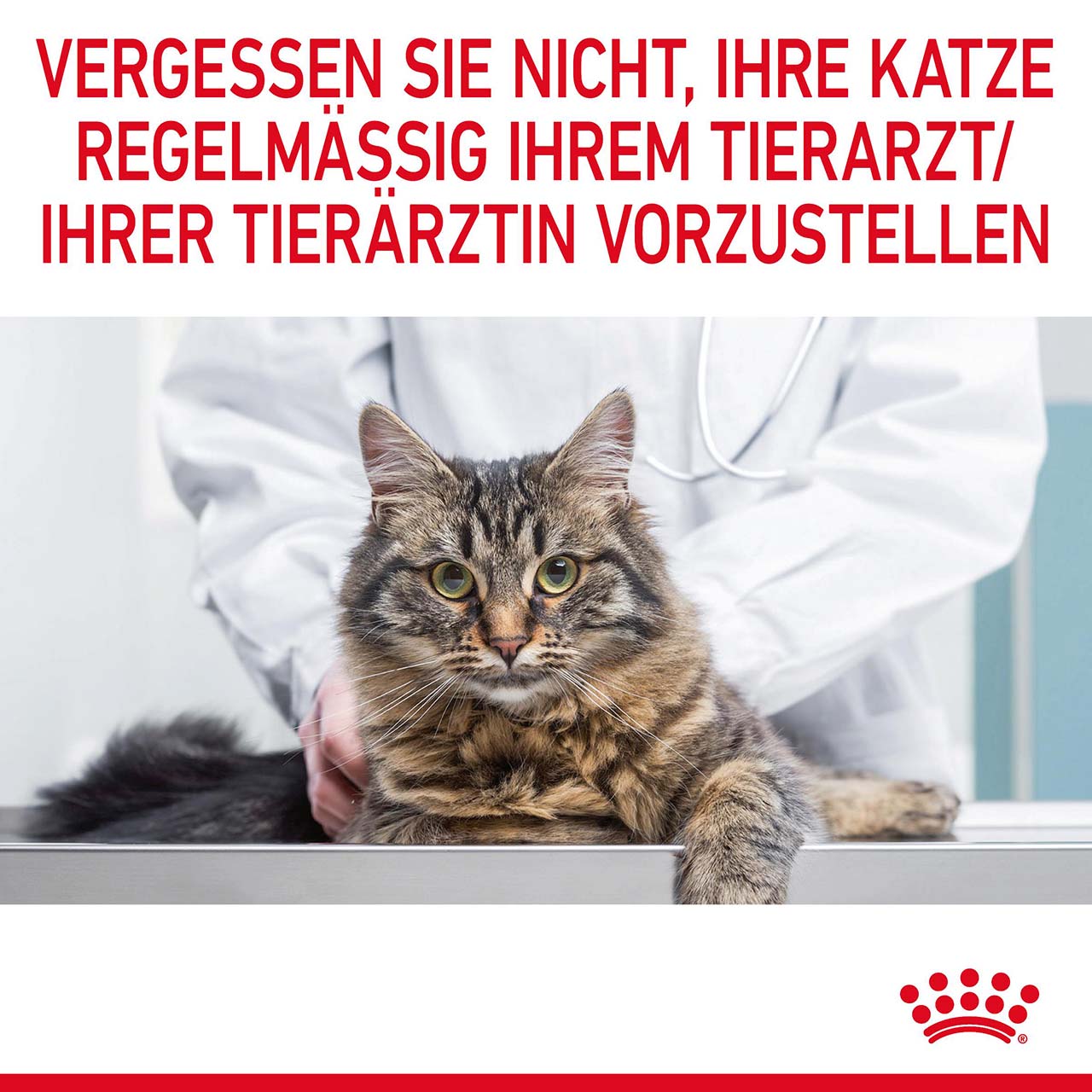 Royal Canin - FCN Dental  Care - 1 x 1,5kg - 8