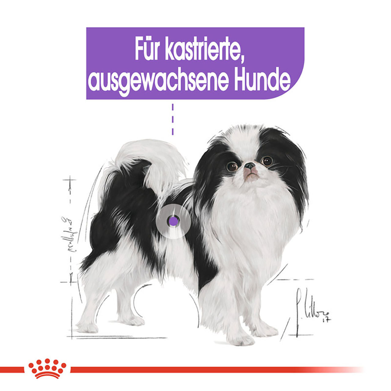 Royal Canin - CCN Sterilised X-Small - 1 x 1,5kg - 2
