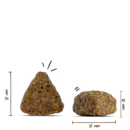 Bosch - Adult Ente & Reis - 1 x 15 kg - 5