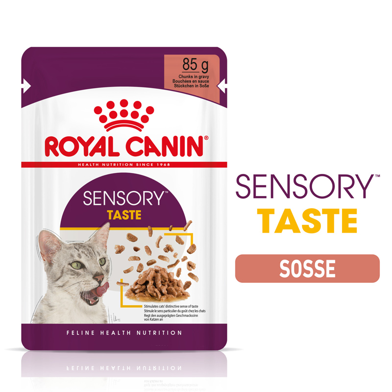 FHN Sensory Taste Gravy