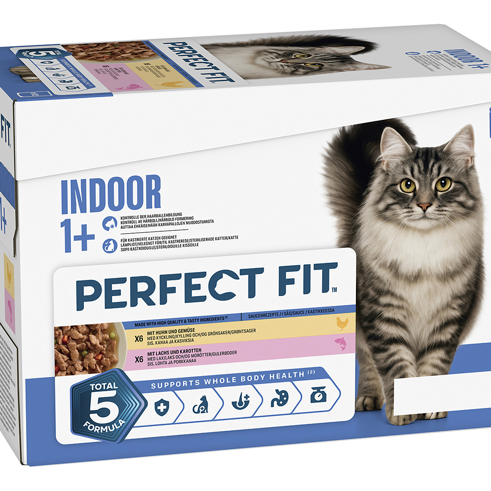 Multipack Indoor 2 Varietäten Huhn & Gemüse, Lachs & Karotten in Sauce