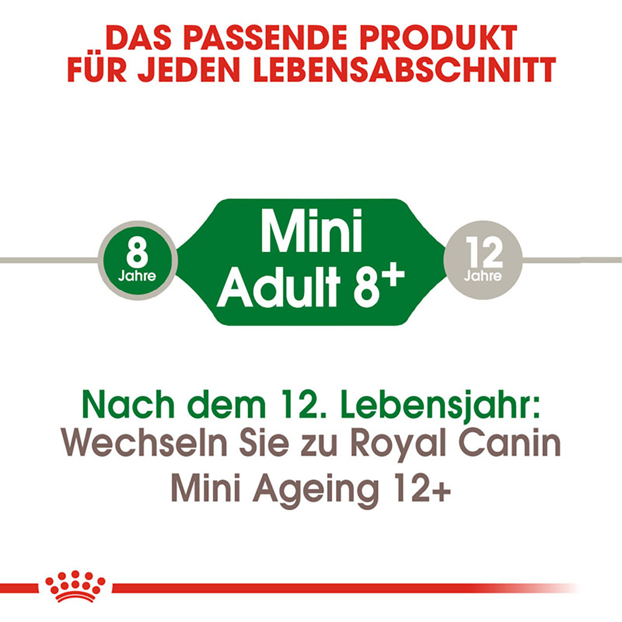 Royal Canin - SHN Mini Adult 8+ - 1 x 2kg - 2