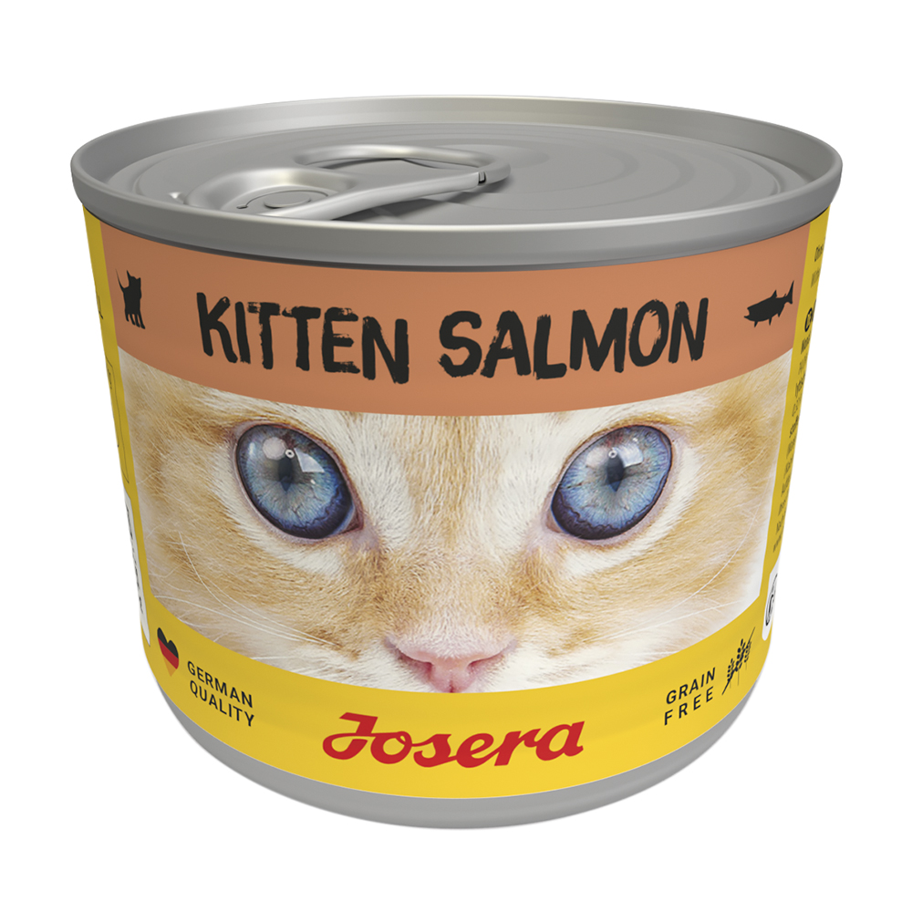 Kitten Salmon
