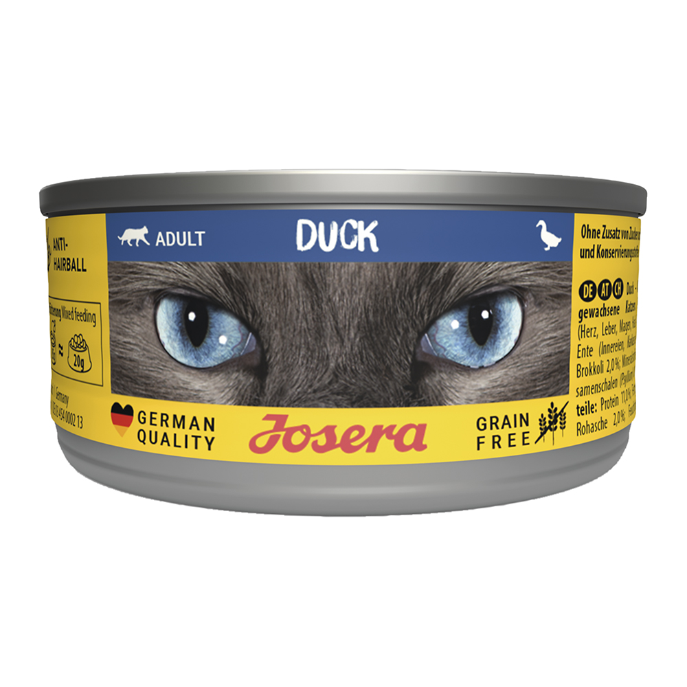 Cat Duck
