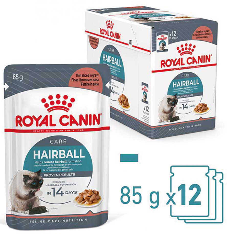 FCN Hairball Care Gravy