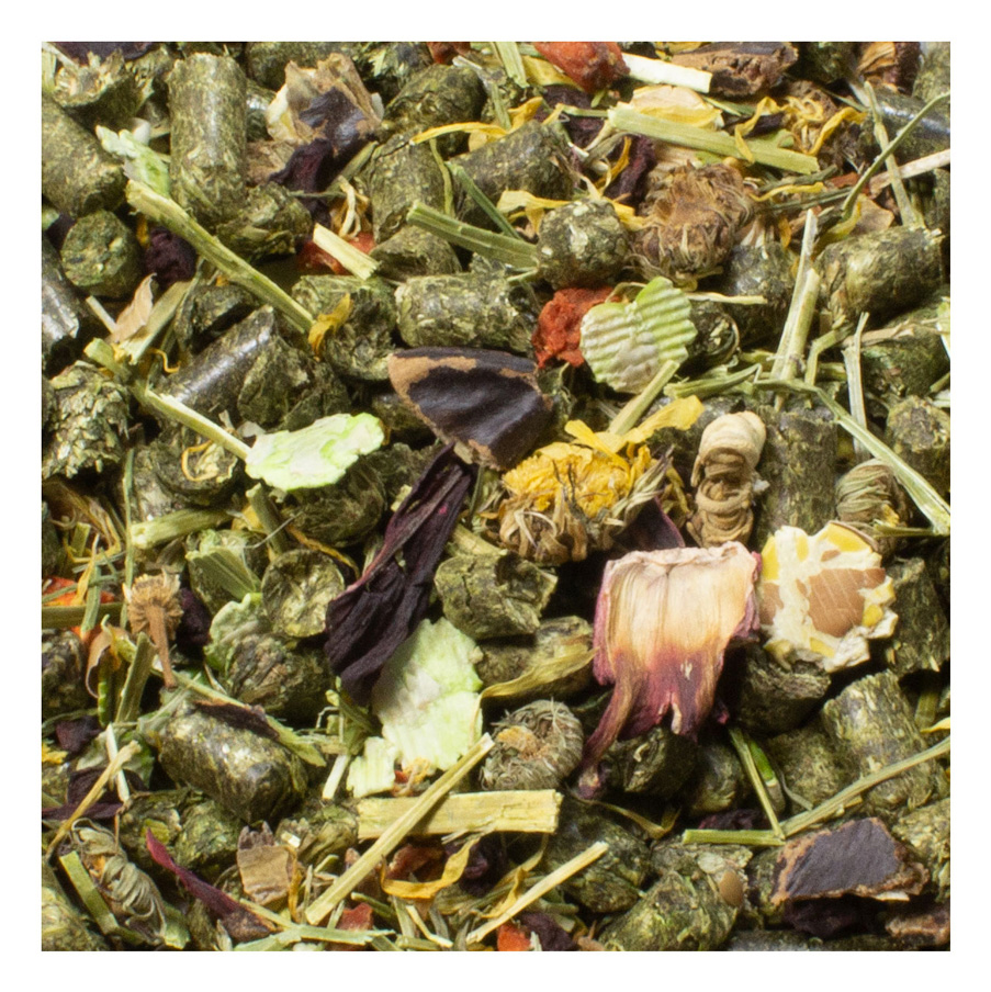 JR Farm - Meerschweinchen-Schmaus - 1 x 1200 g - 2