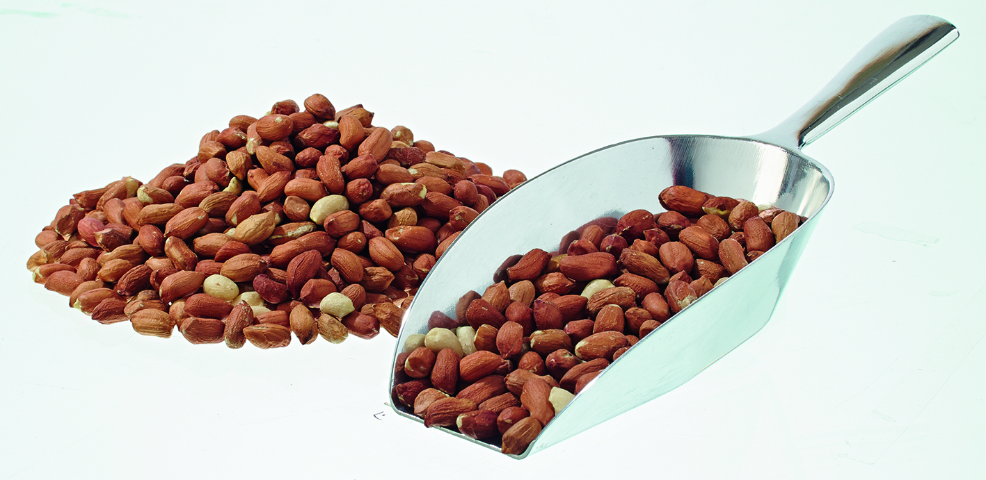 Erdnüsse Light Skin 25kg