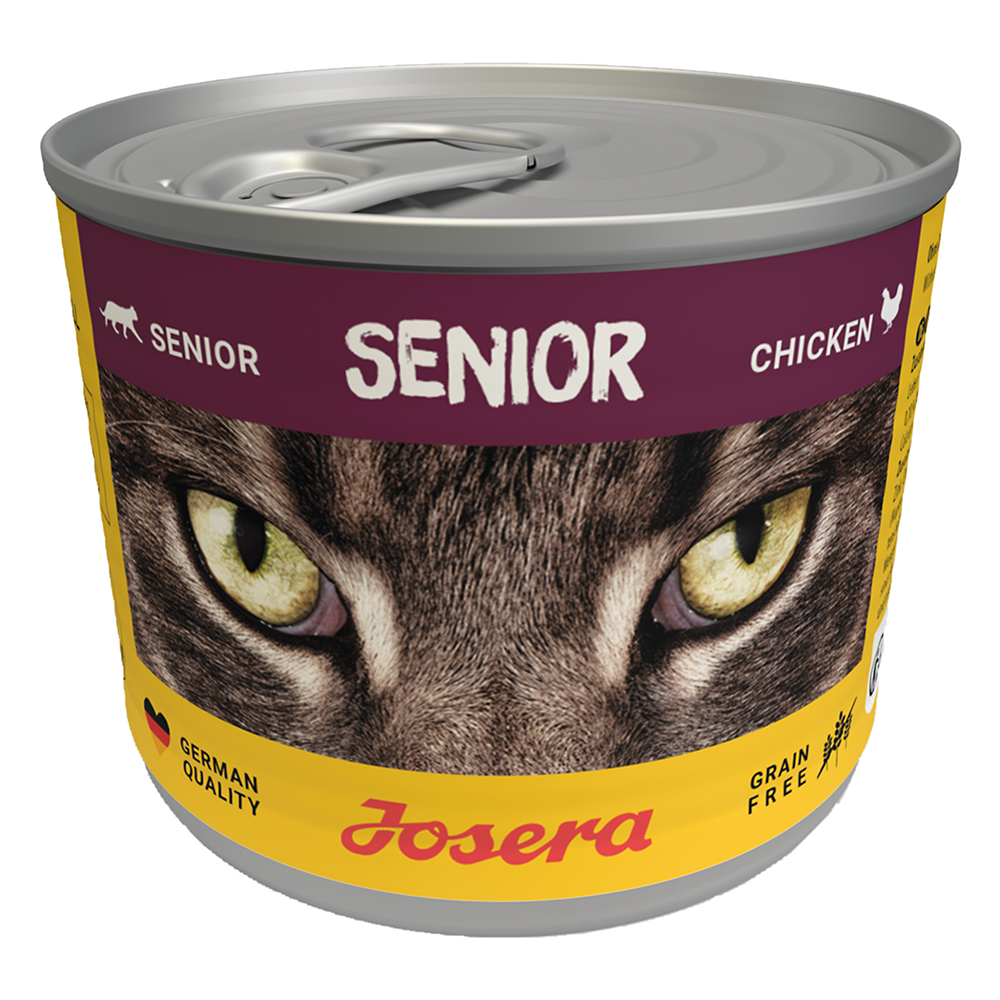 Cat Senior