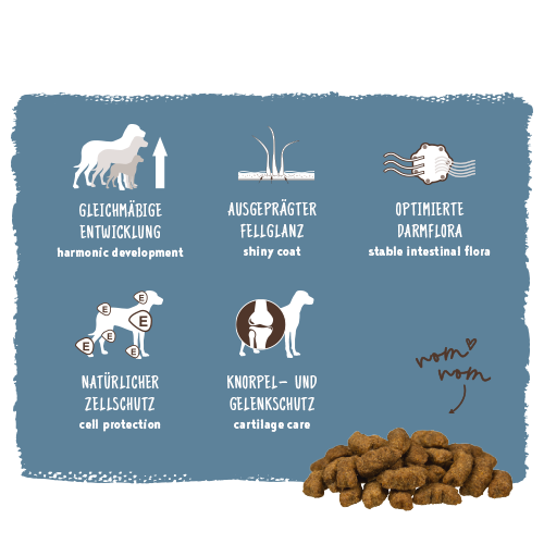 Bosch - Maxi Junior - 5 x 1000 g - 11