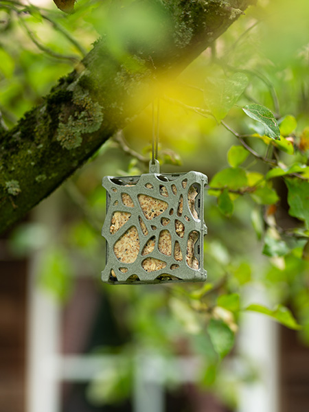 Fettblock-wildvogelfutter-im-spender-hängend-baum Fettblock-wildvogelfutter-im-spender-hängend-baum