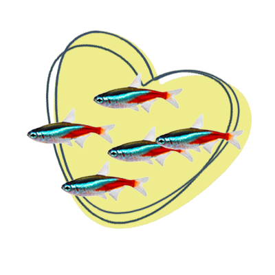 Neon-Fische mit Herz im Hintergrund Neon-Fische mit Herz im Hintergrund