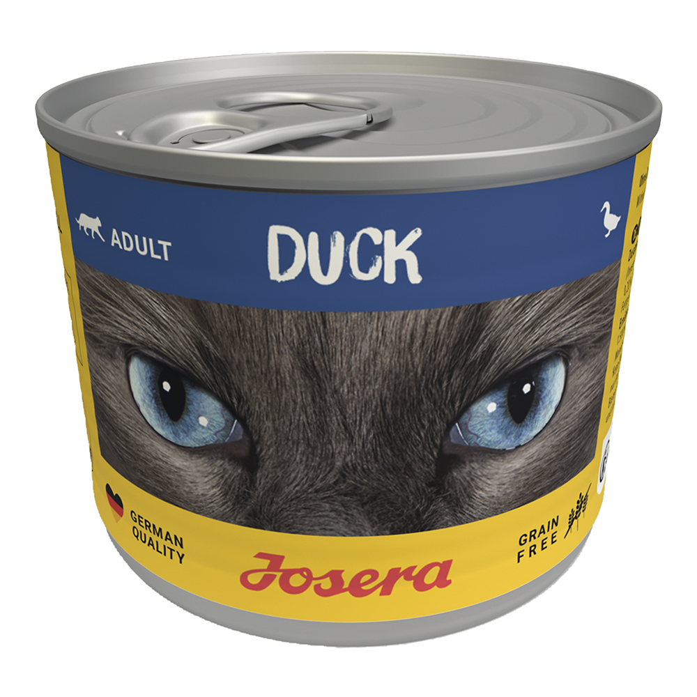 Cat Duck