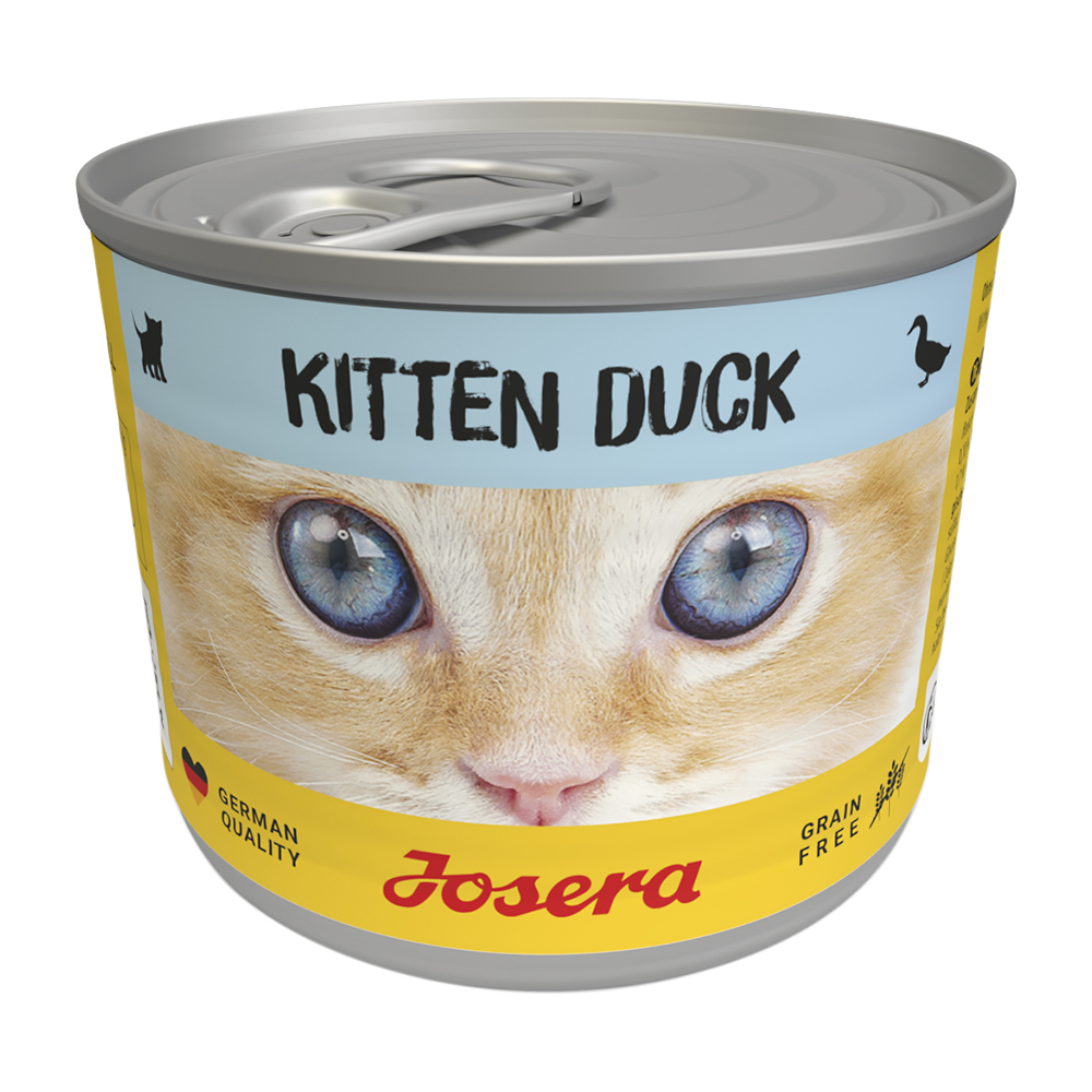 Kitten Duck