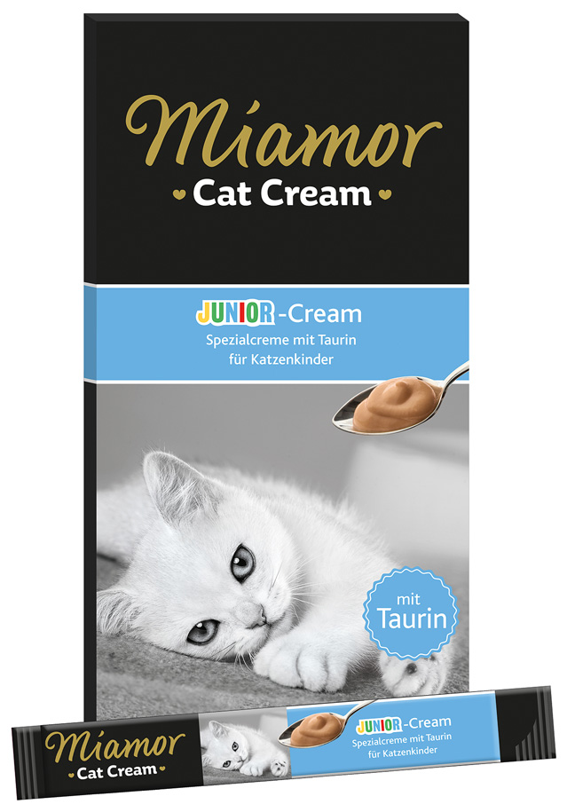 Cat Junior-Cream Cat Junior-Cream