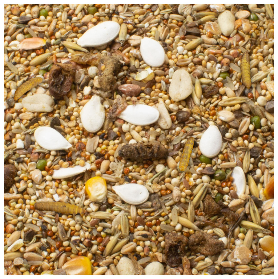 JR Farm - Zwerghamster-Schmaus - 6 x 600 g - 2