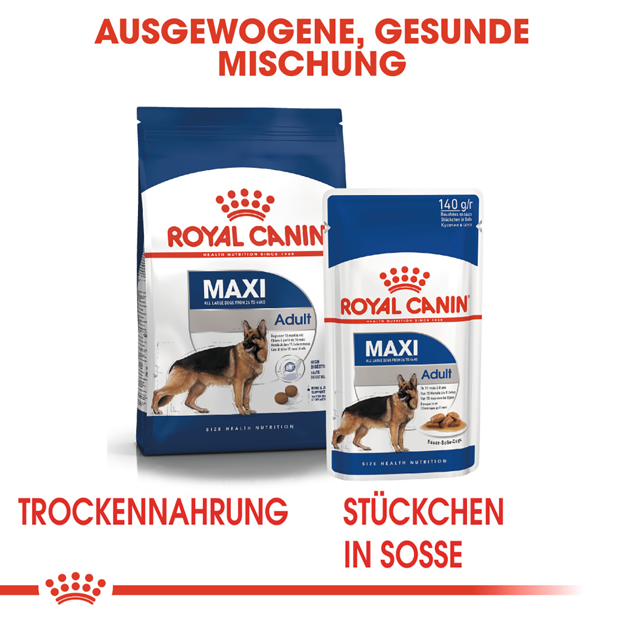 Royal Canin - SHN Maxi Adult - 1 x 4kg - 5