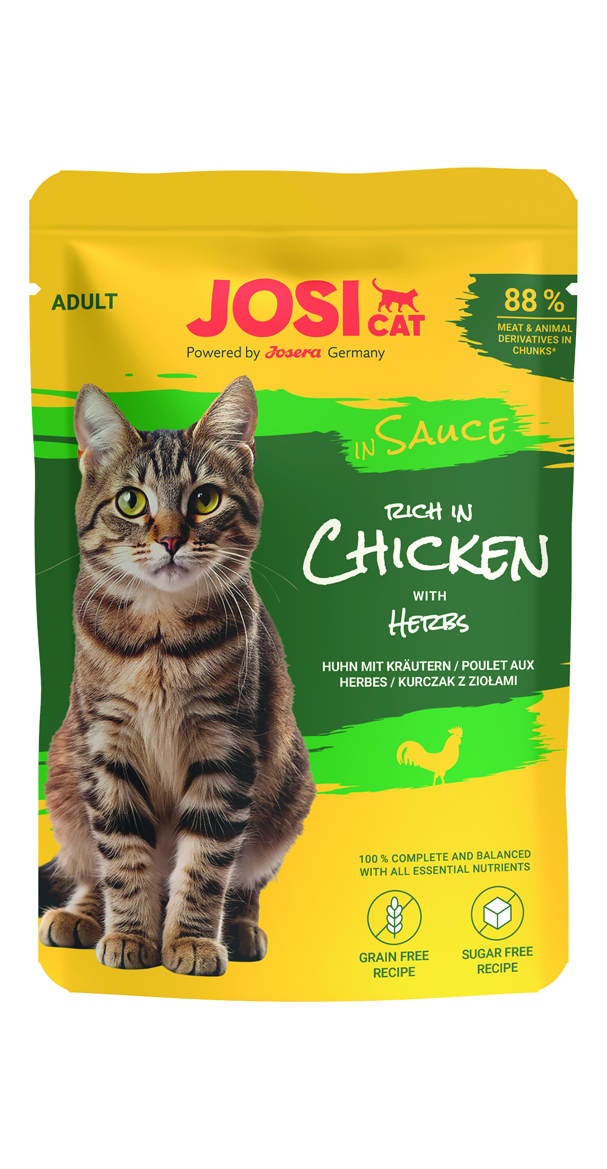 rich in Chicken in Sauce