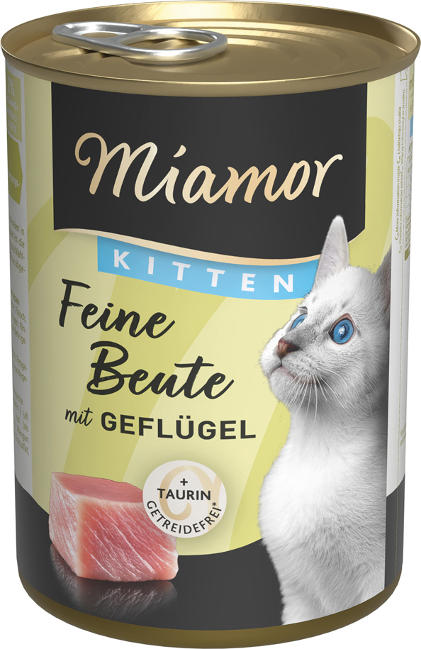 Feine Beute Kitten