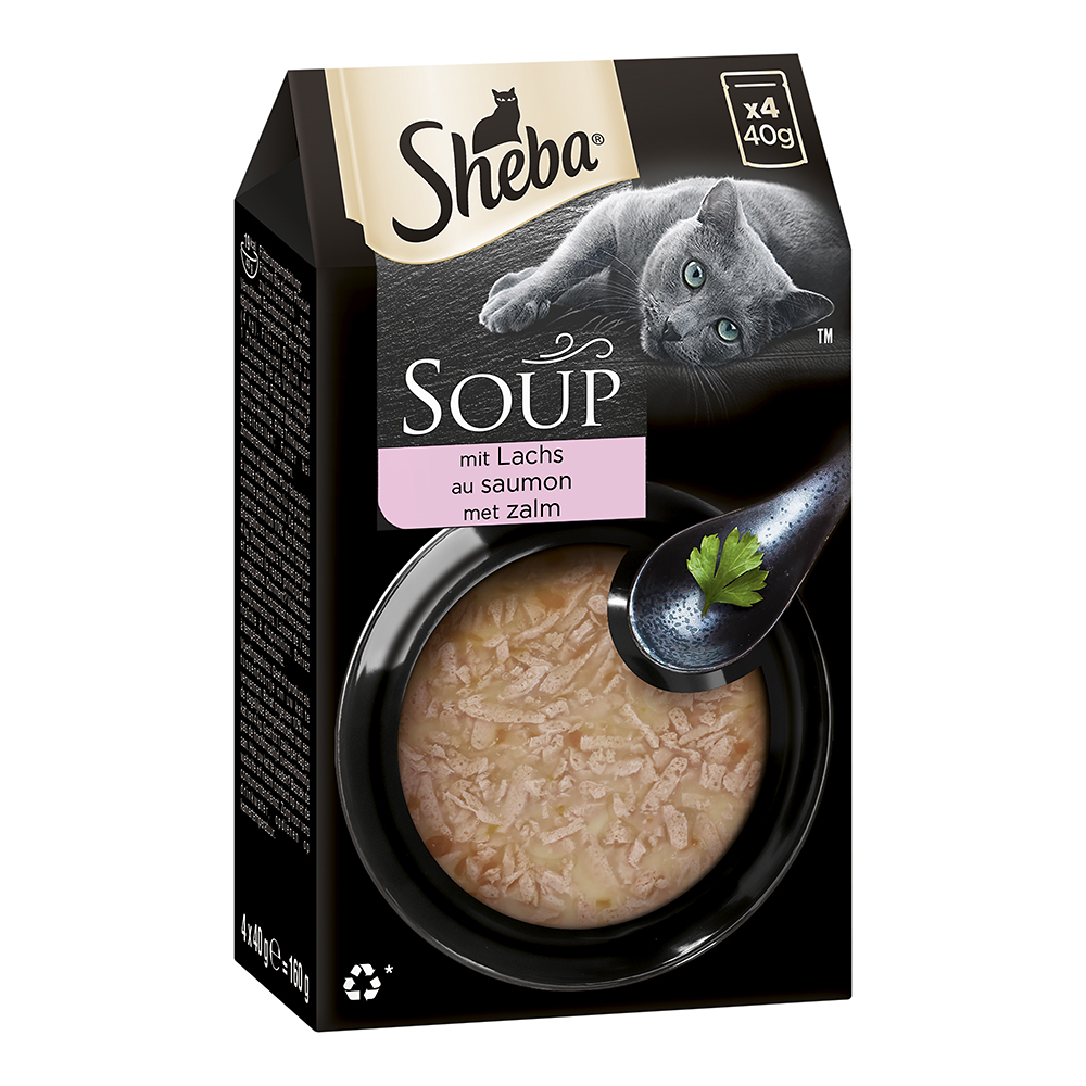 Multipack Soup mit Lachs