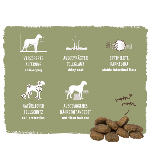 Bosch - Maxi Senior Geflügel & Reis - 1 x 12,5kg - 4