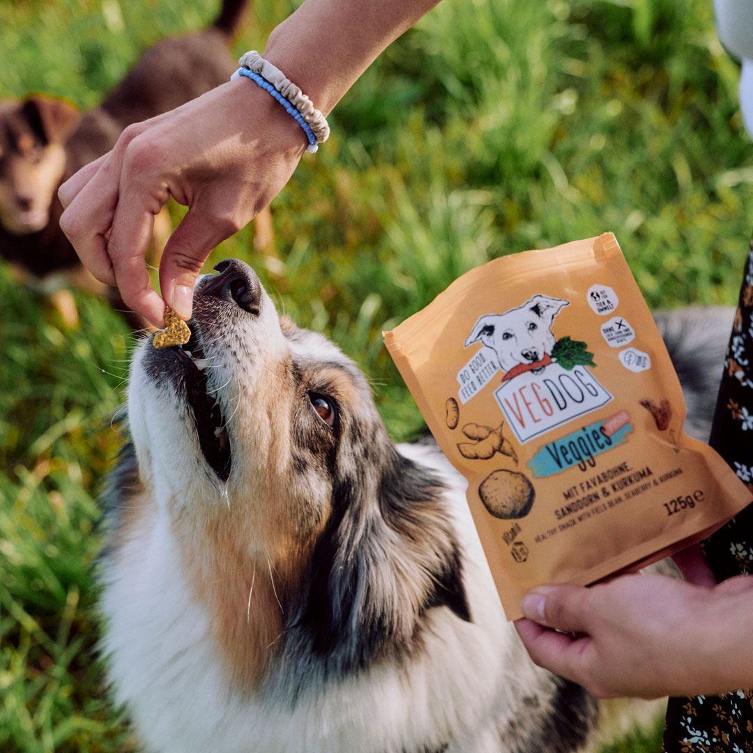 Vegdog - Veggies Immune mit Favabohne, Sanddorn & Kurkuma - 1 x 125g - 2