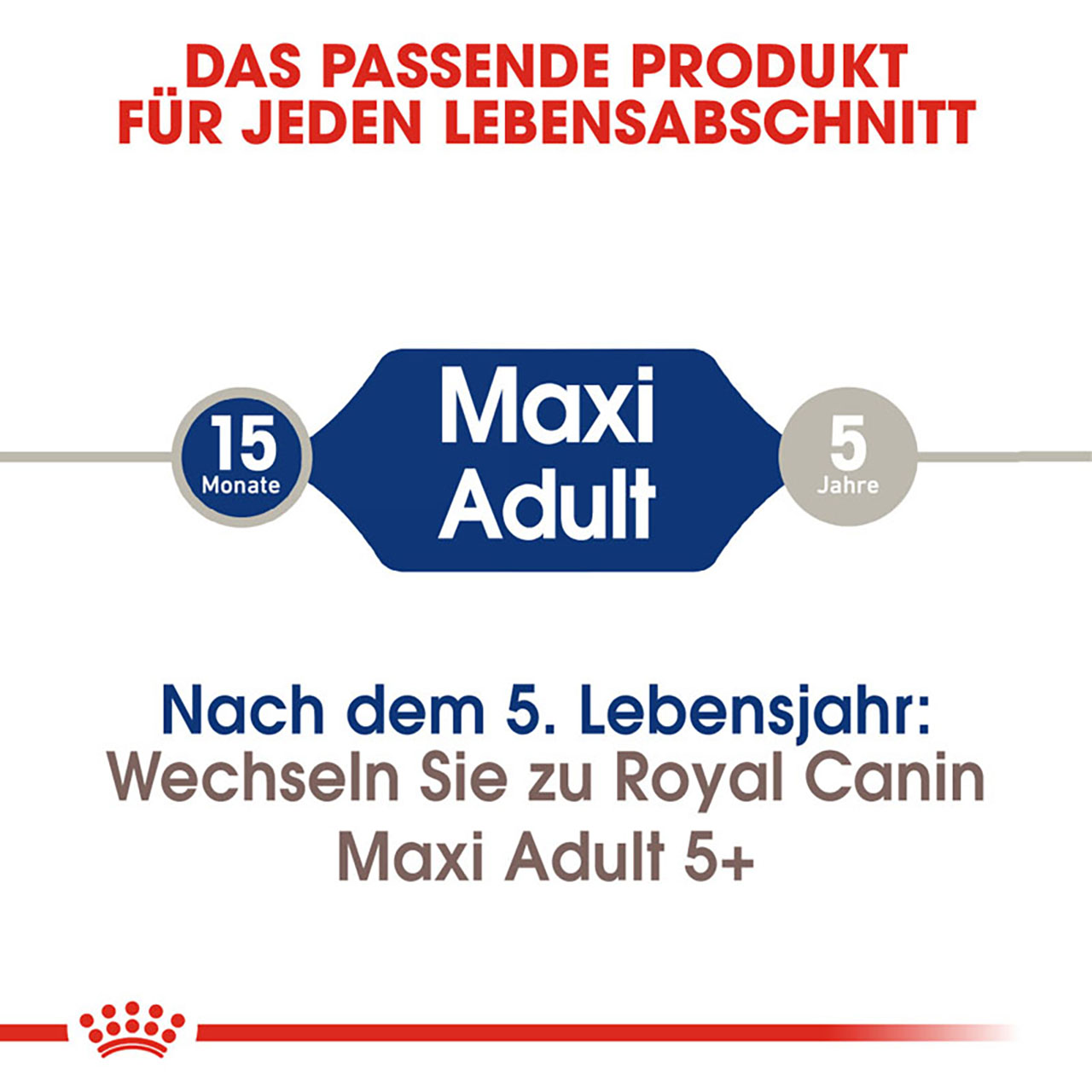 Royal Canin - SHN Maxi Adult - 1 x 4kg - 2