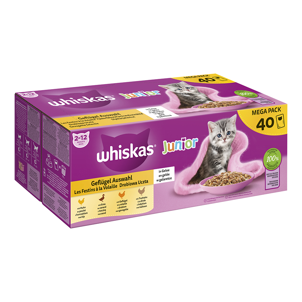 Mega Pack Junior Geflügel Auswahl in Gelee