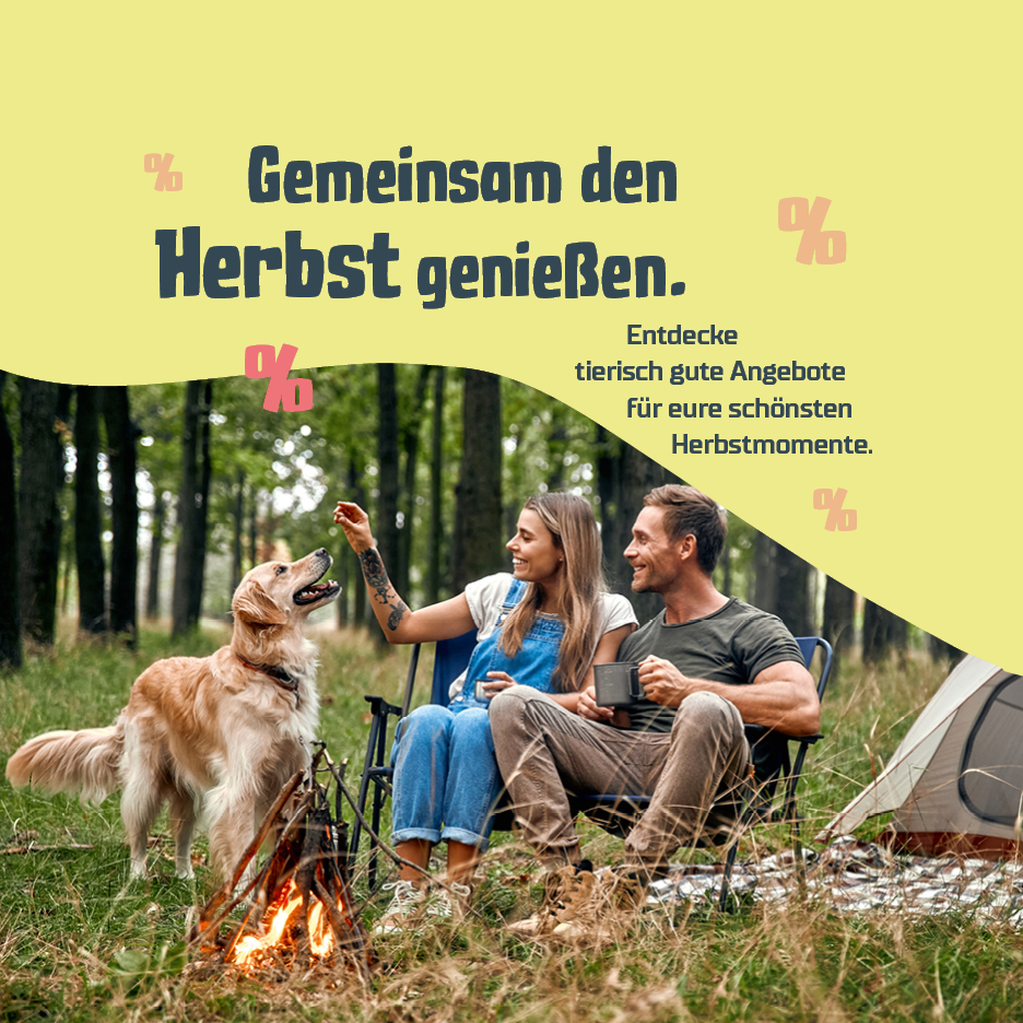 Herbst-Angebote