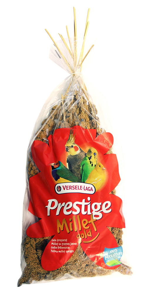 Prestige Kolbenhirse